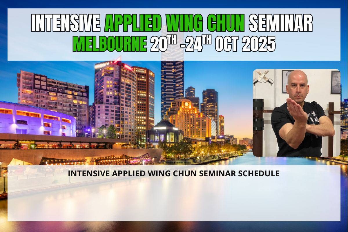 INTENSIVE APPLIED WING CHUN SEMINAR(2)