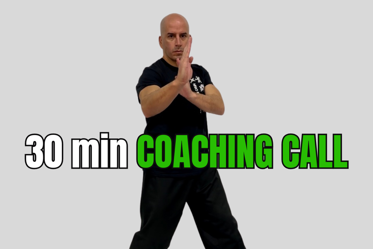 INTENSIVE APPLIED WING CHUN SEMINAR(3)